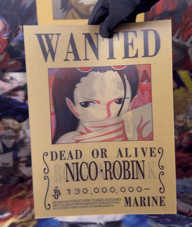 ONE PIECE 3D MOTION POSTER 3