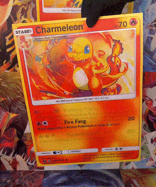 Pokemon Posters TRINKETSU Pokemon Posters TRINKETSU